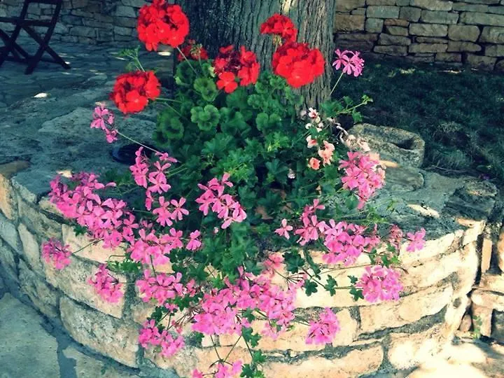 Holiday Home Sandra Croatia